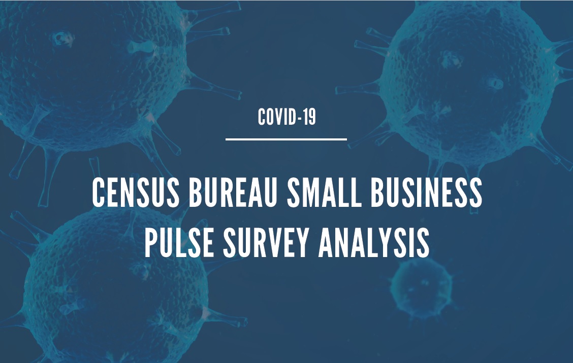 Insights from the Census Bureau Pulse Survey